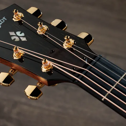 2024年の新アコースティックギター | Taylor Guitars